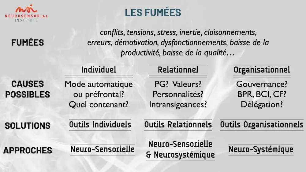 Tableau « Les fumées » : conflits, tensions, stress, démotivation ; leurs causes possibles (individuelles, relationnelles, organisationnelles), les solutions et les approches neurosensorielle et neurosystémique qui y répondent.